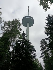 Koblenz Sendemast Kühkopf (2)