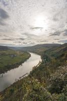 Mosel Gegenlicht Herbst 1