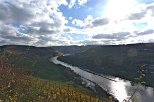 Mosel Gegenlicht Herbst 2