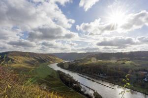 Mosel Gegenlicht Herbst 3