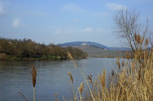 Mosel mit Marienburg