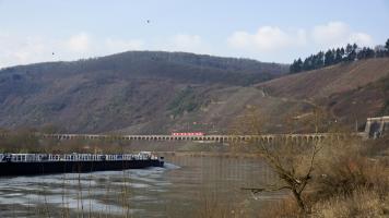 Mosel und Hangviadukt (2)