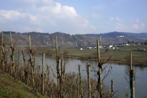 Mosel und Hangviadukt (3)