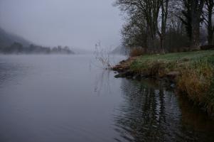 Nebelstimmung an der Mosel (2)