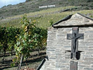 Pommern, Weinlage Goldberg