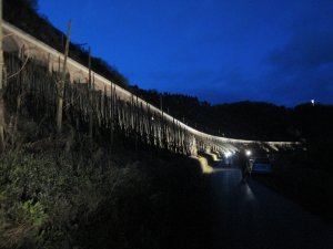 Pünderich, Hangviadukt, Nacht1