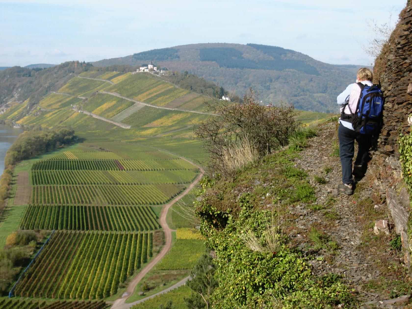 Pünderich, Marieburg, Uhusteig