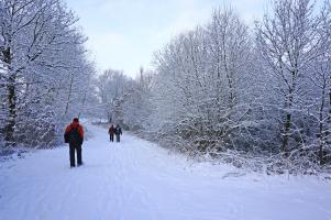 Wanderer im Winterwald