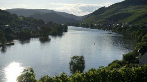 Zell-Merl, Moselstimmung 1