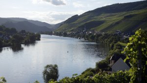 Zell-Merl, Moselstimmung 2