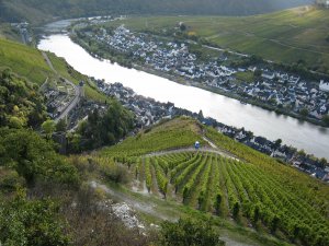 Zell, Blick von Collis 3