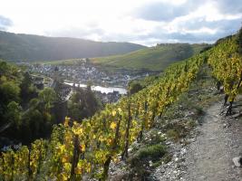 Zell, Blick von Collis 5