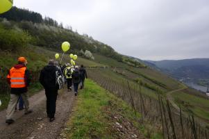 Zell, SWR 4-Wanderung