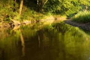 Alfbach bei Alf 3