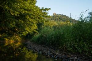 Alfbach mit Burg Arras