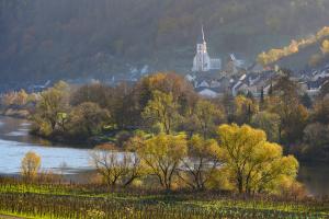 Blick auf Briedel