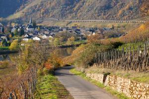 Blick auf Pünderich