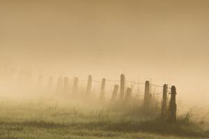 Eifel im Morgennebel