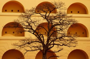 Festung Ehrenbreitstein