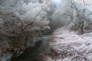 Frost am Alfbach