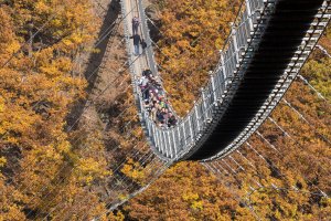 Geierlay Hängebrücke (3)