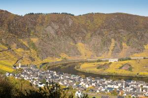 Goldener Herbst bei Bremm 2