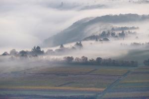 Herbststimmung bei Piesport