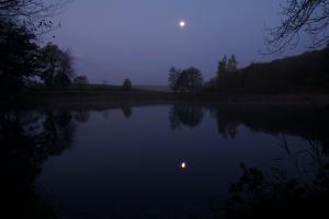 Morgen am Holzmaar
