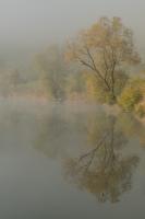 Morgenstimmung am Meerfelder Maar