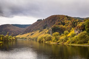 Mosel bei Reil 1