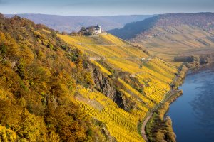 Novemberfärbung mit Marienburg