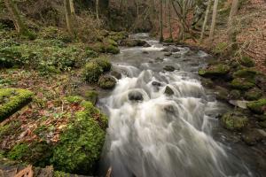 Strohner Schweiz (3)