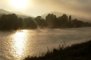 Zwischen Reil und Kövenig